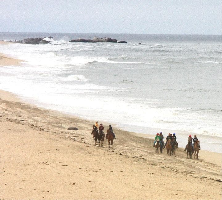 Sea Horse Ranch team