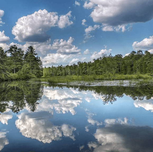 Guided River Tours & Pine Barrens Adventure in Shamong NJ