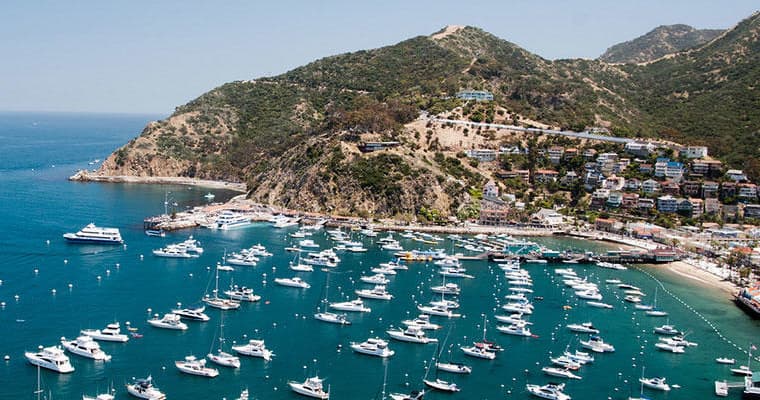 Stress-Free Private Airport Transfer from LAX to Anaheim Disneyland Hotels