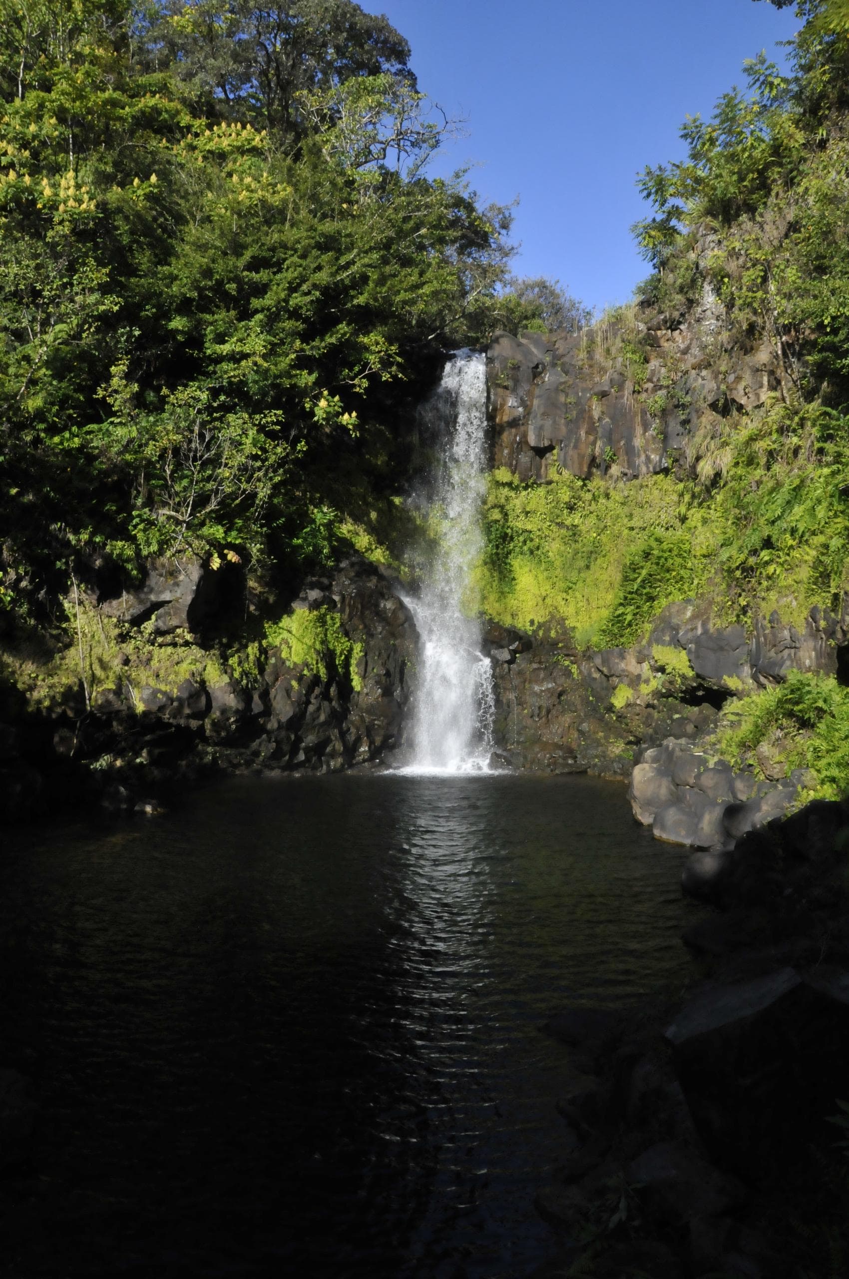 Tranquil waterfall plunging into a volcanic pool in jungle