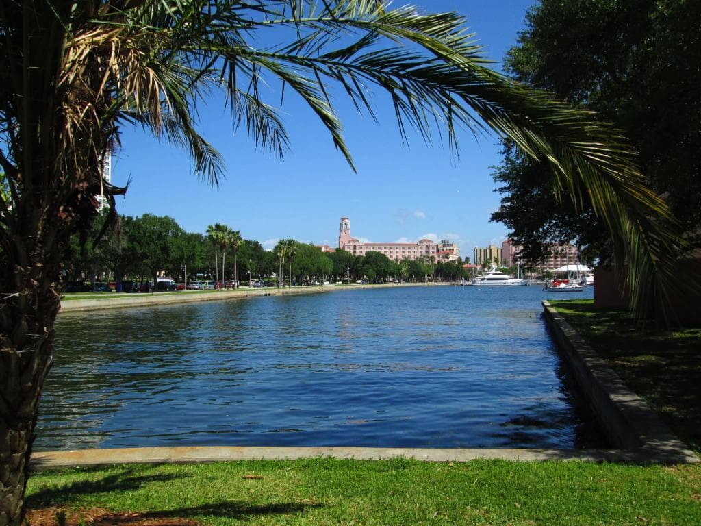 Palm-framed lakeside view with calm water and skyline
