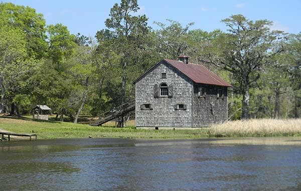 Plantation River Tours: The Waccamaw Lady River Adventure