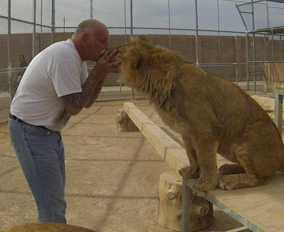 Hump Day Habitat Tours: Inside Henderson’s Midweek Lion Ranch Experience photo 1