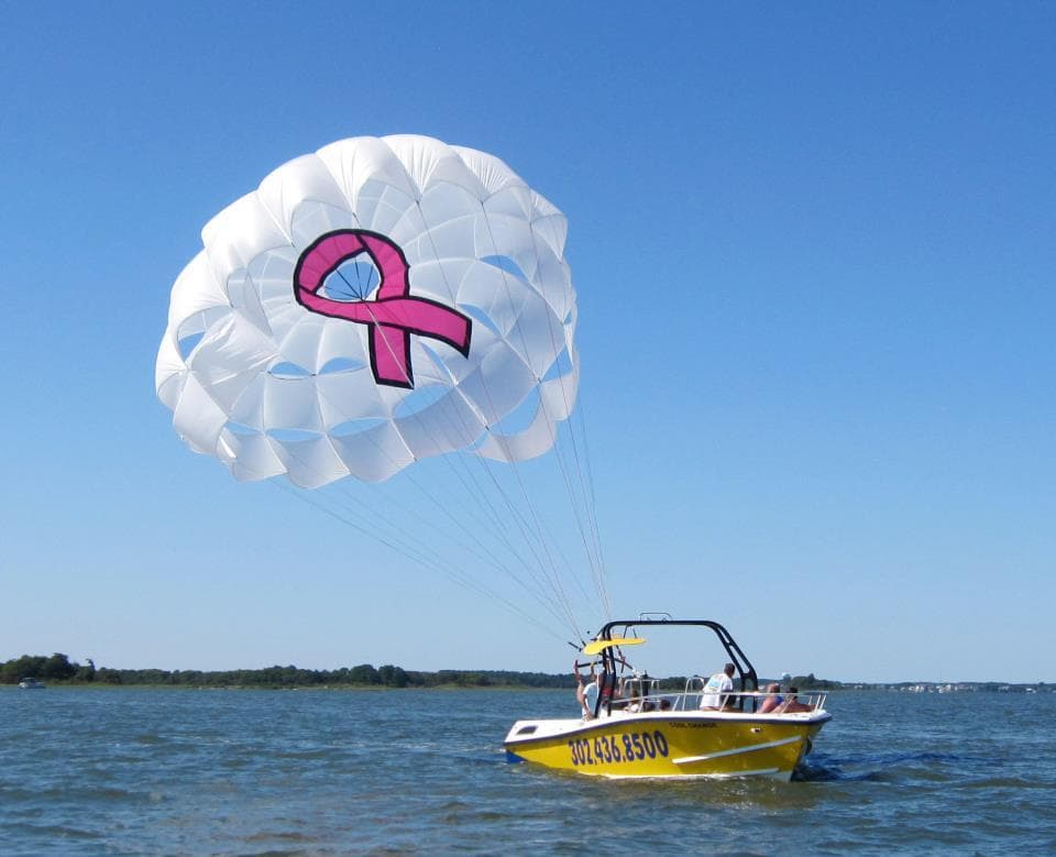 Water Activities: Shark's Cove Marina Pontoon Rental for Kids & Adults