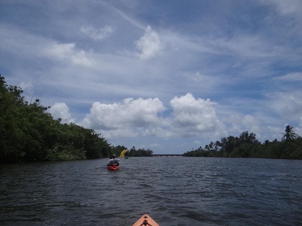 Rainbow Kayak Tours team