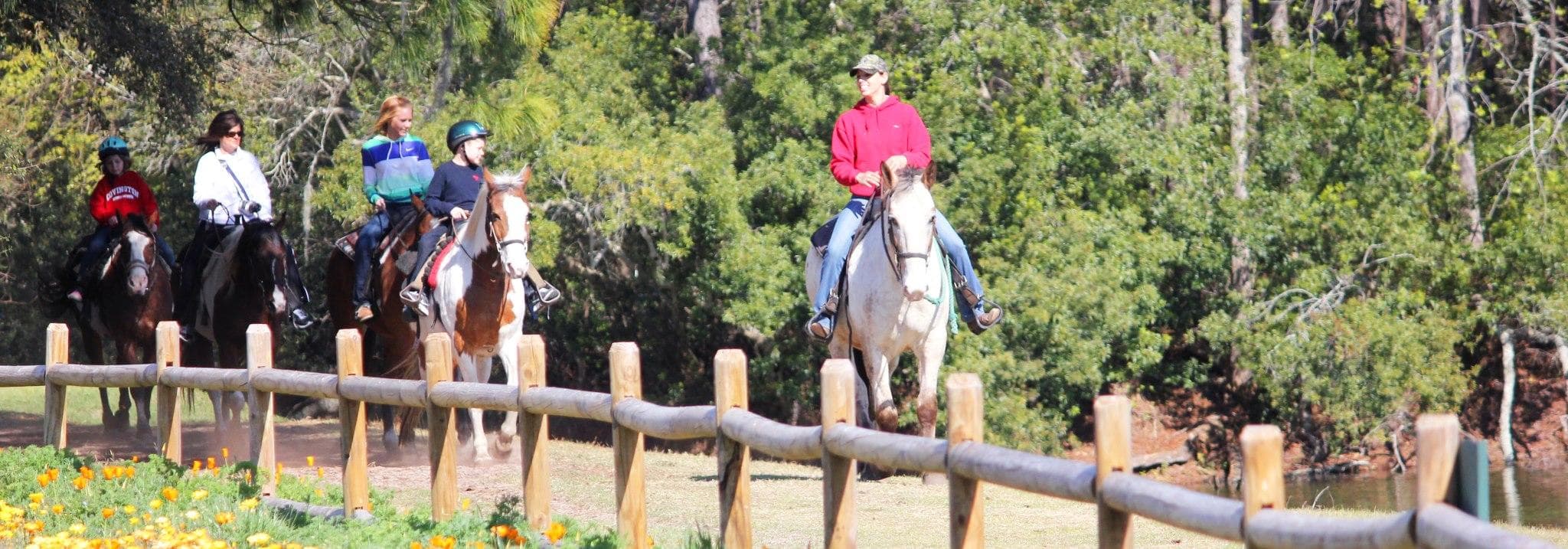 Guided horseback trail ride along wooded fence at stable