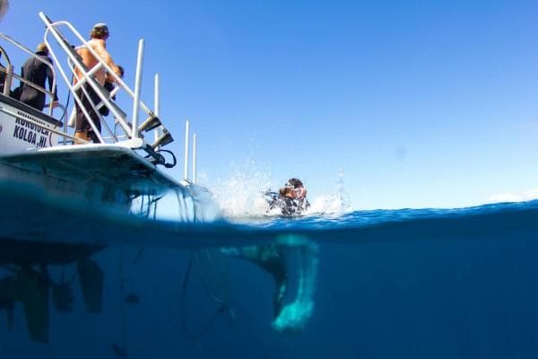 Open-ocean diver entering water from boat during coastal dive trip