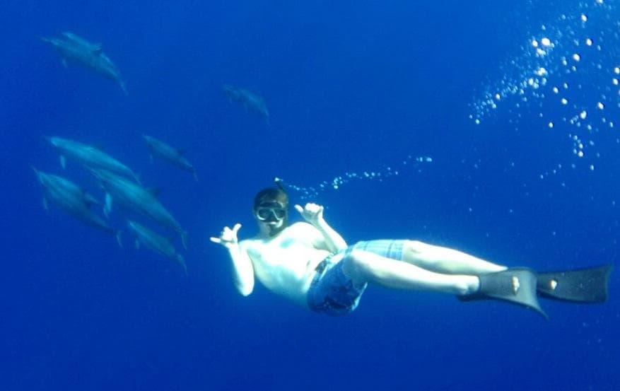 Free diver swimming with dolphins in open Pacific ocean