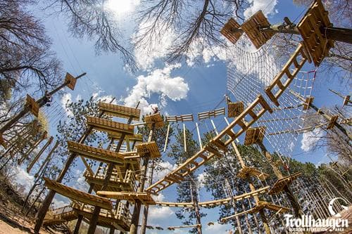 High ropes course treetop obstacles with dramatic sky view