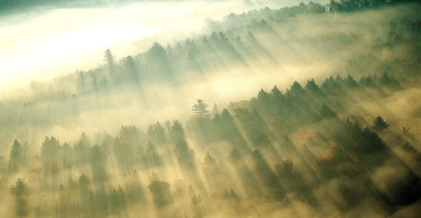 Aerial misty forest with sun rays over mountain ridge