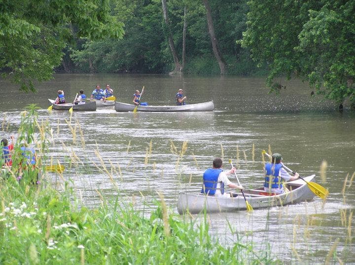 Canoe group paddling through calm green river near shore