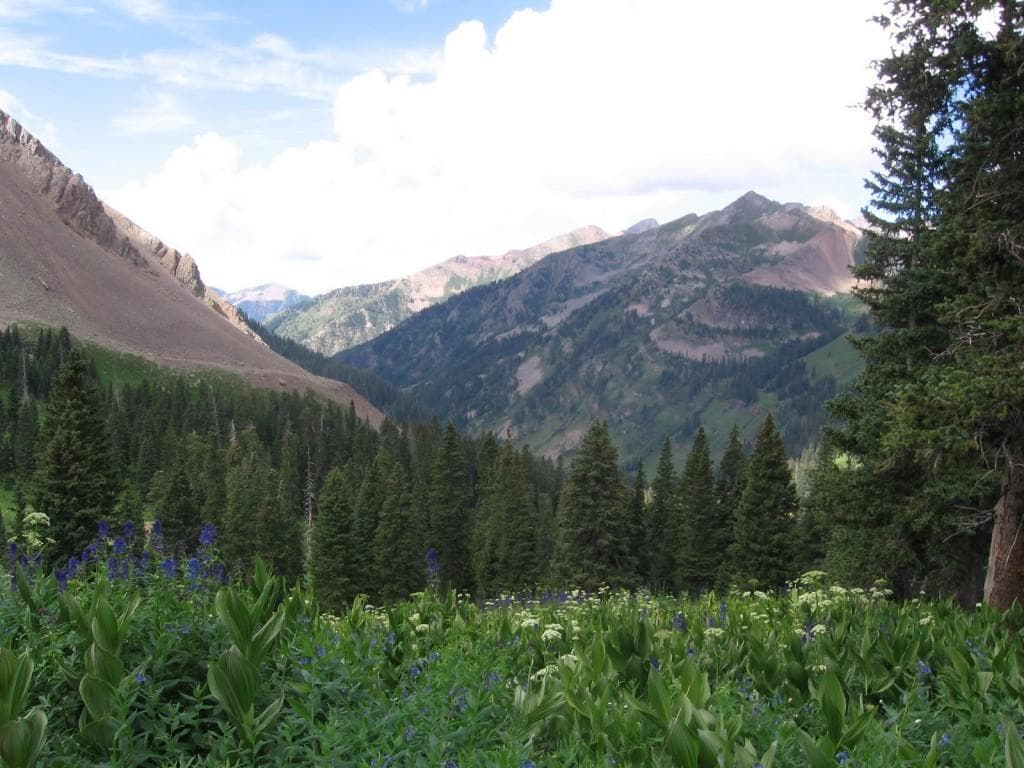 Alpine wildflower valley with hiking trails in Colorado Rockies