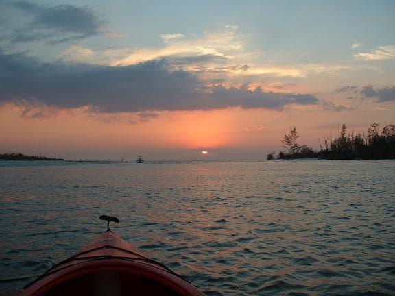 Kayak & Birdwatching with GAEA Guides on the Caloosahatchee River