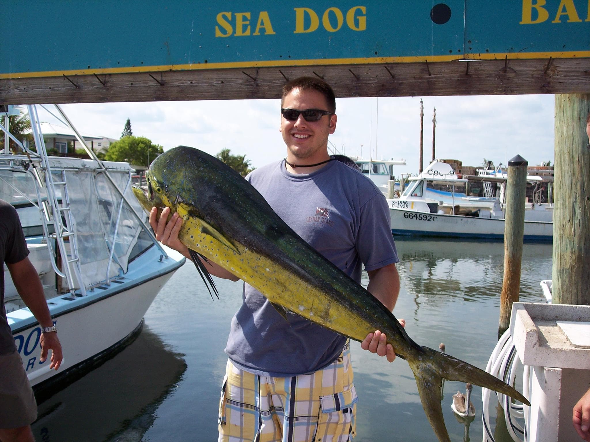 Angler holding dorado (mahi-mahi) at marina after sportfishing