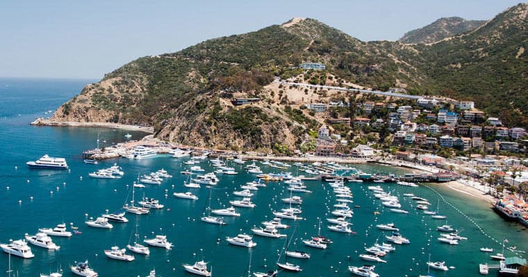Catalina Island shoreline and hillside town overlooking bay
