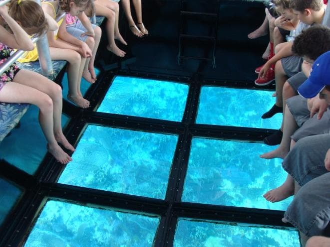 Passengers on glass-bottom boat viewing coral through underwater panels