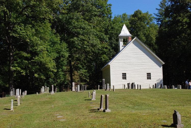 Wildlife & History Tour with Smoky Mountain Guides
