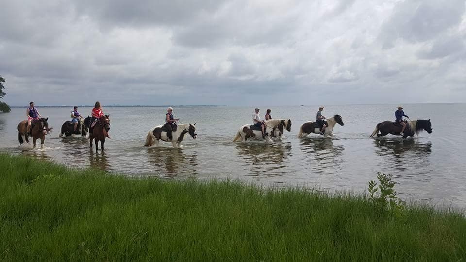 Group horseback coastal ride along marsh shoreline and surf
