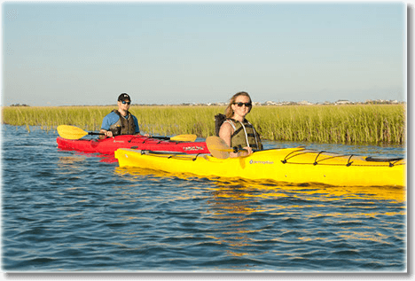 Morris Island Shelling & Dolphin-Spotting Tour from Folly Beach