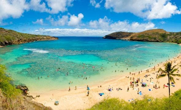 Crowded Hanauma Bay beach with swimmers and turquoise bay