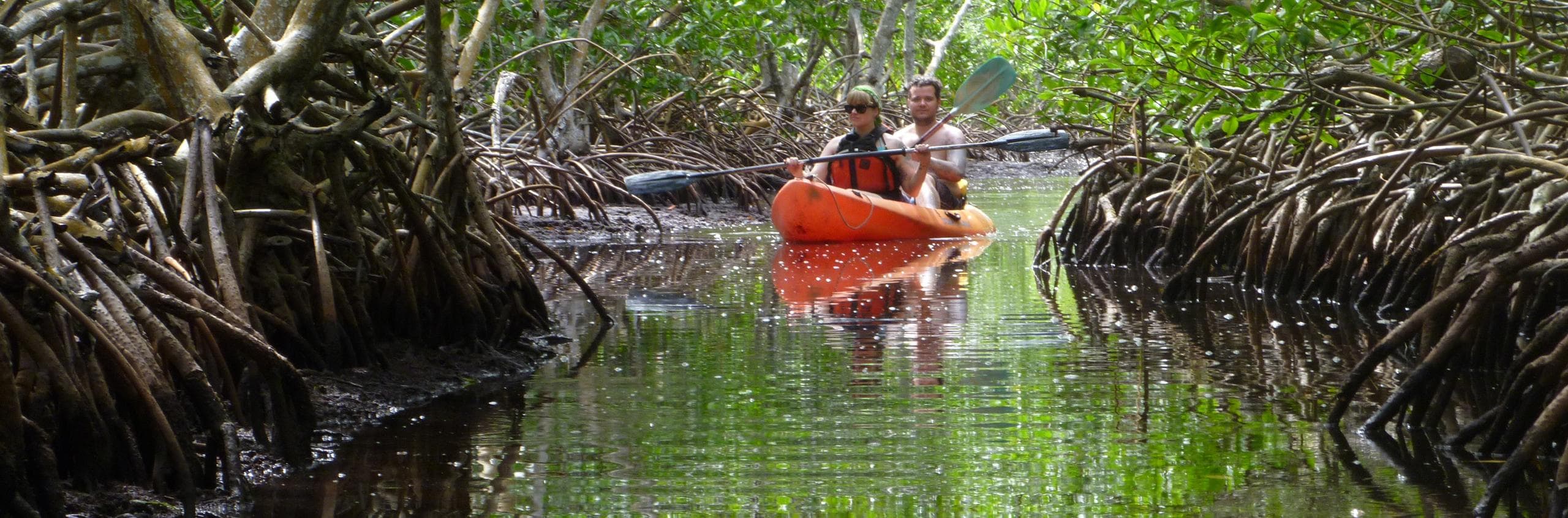 Inshore Fishing Charters with Pure Adventure in Puerto Rico