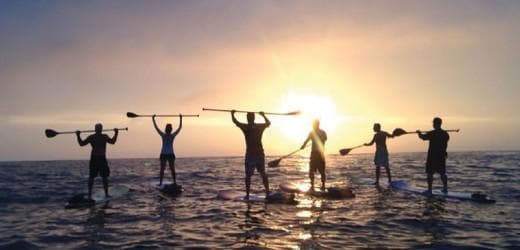 Standup paddleboarders silhouetted on ocean at sunset