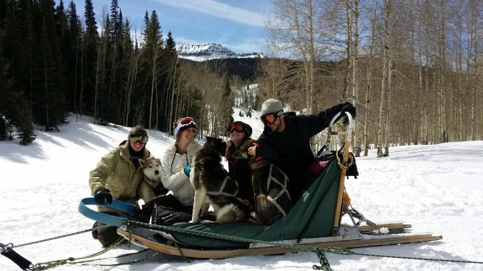 Tour group on dog sled enjoying snowy mountain valley experience