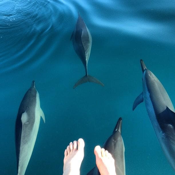 Na Pali Experience team
