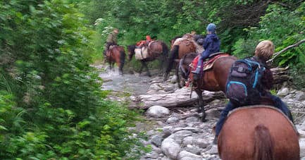 Pack horses and riders navigating rocky forest stream trail