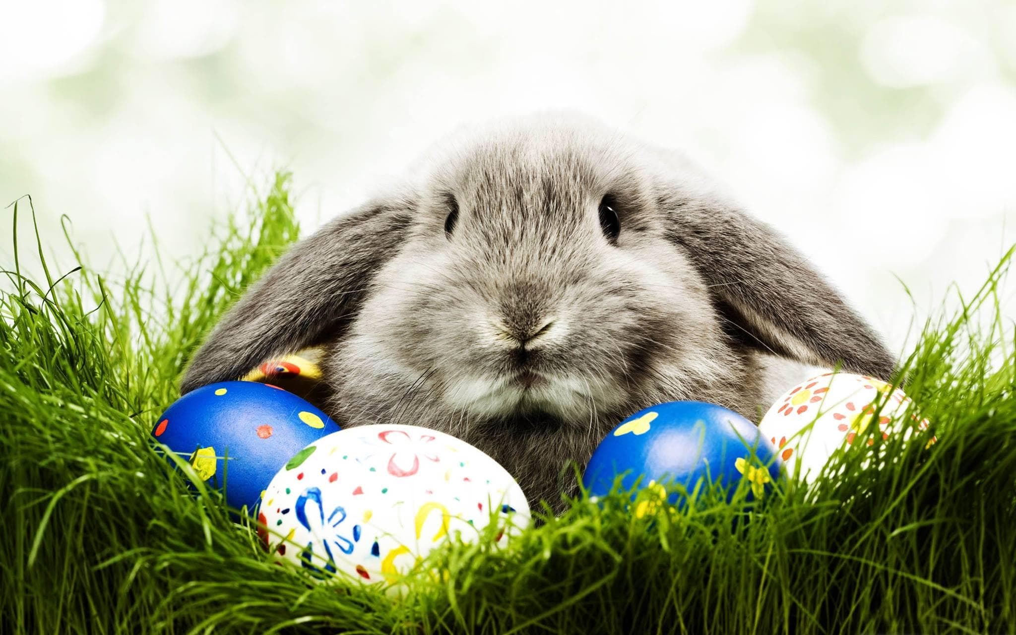 Celebrate Easter on the Water: Gateway Clipper’s Festive Pittsburgh Riverboat Cruise