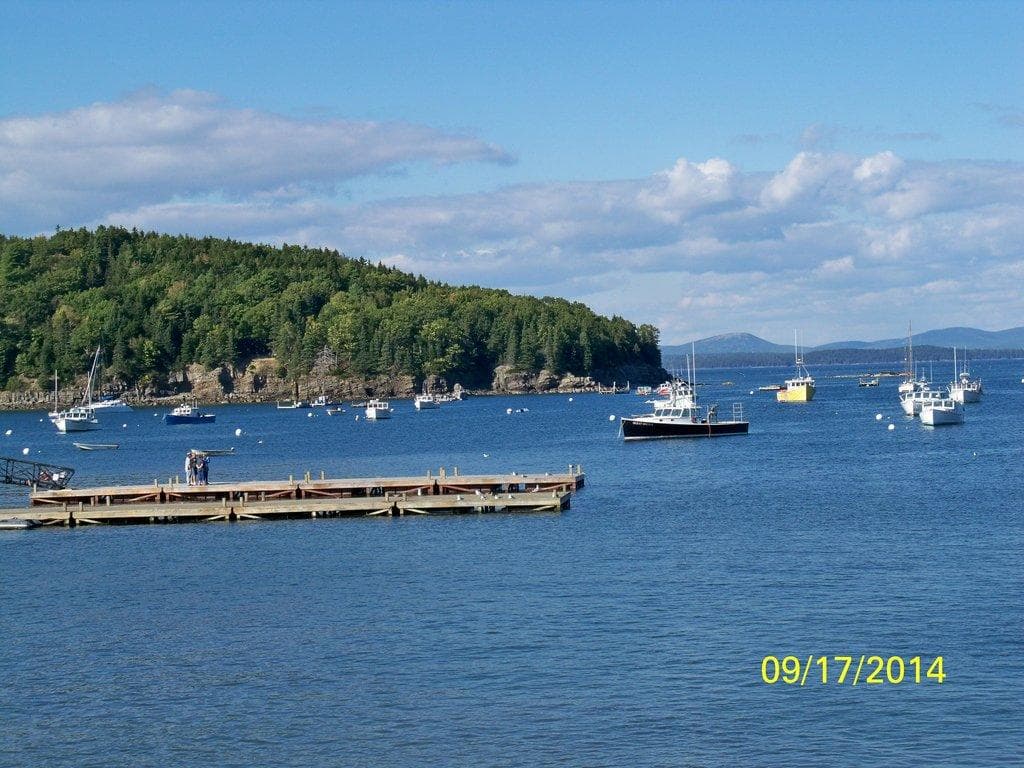 Harbor with boats and dock framed by wooded shoreline bay view