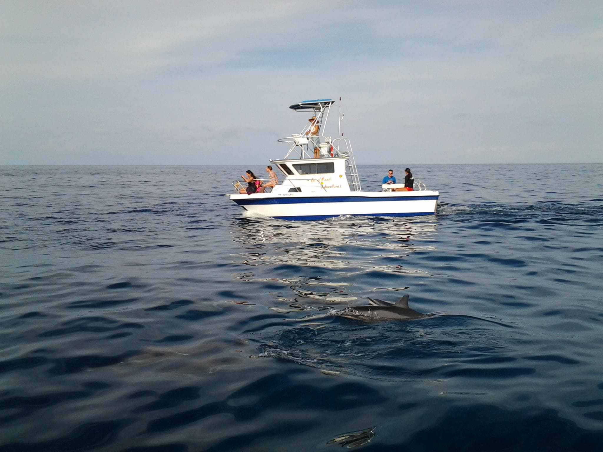 Explore Vibrant Coral Reefs on a Kona Snorkel Safari in Kailua-Kona, Hawaii