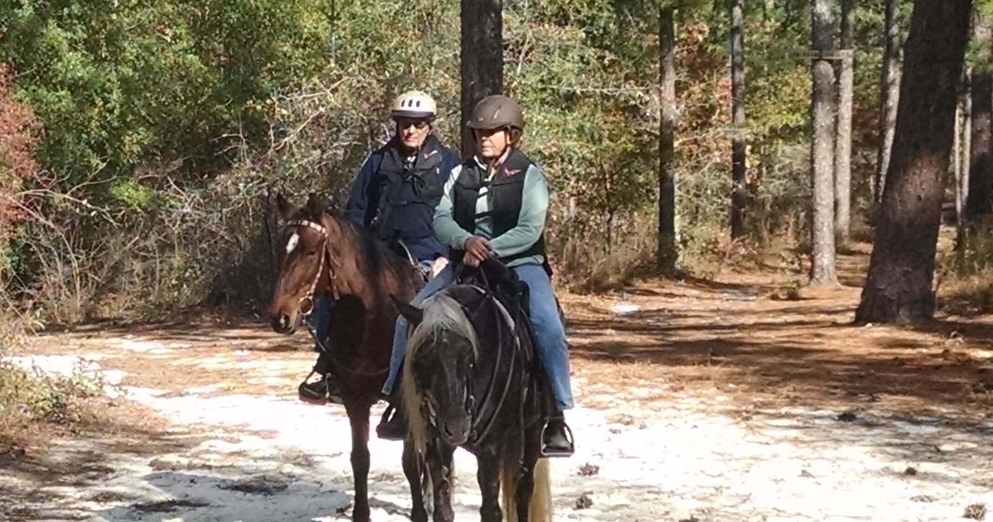 Couple horseback riding on shaded pine forest trail