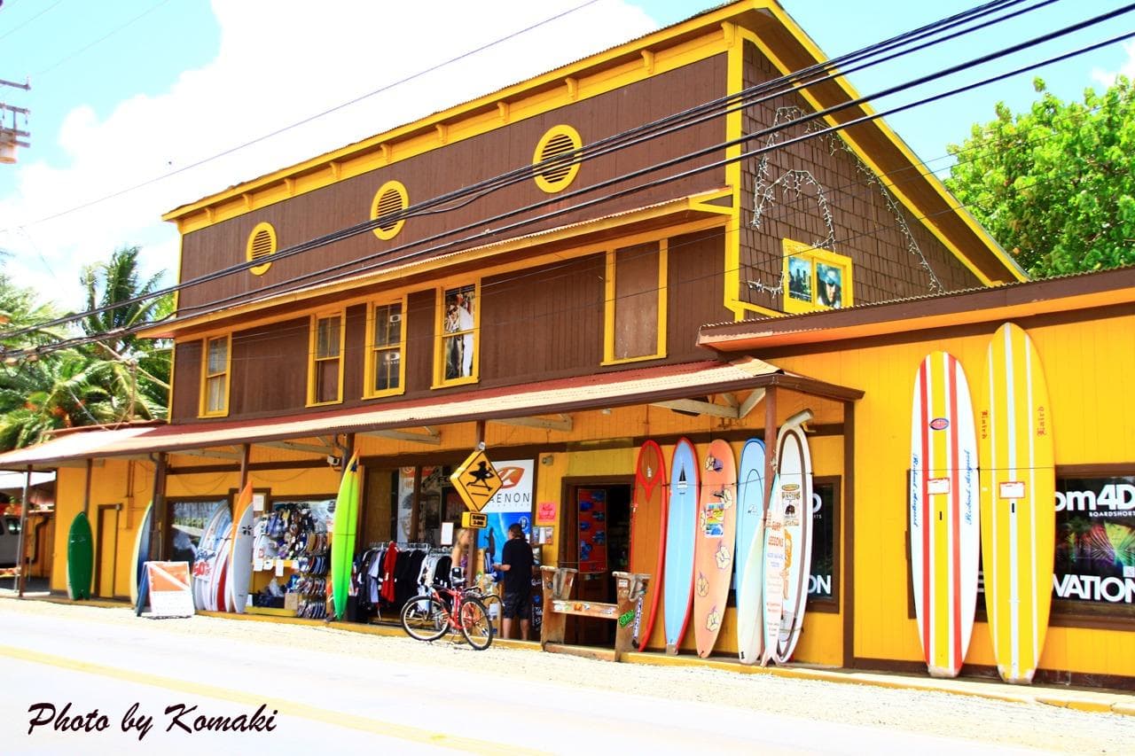 Surf N Sea team