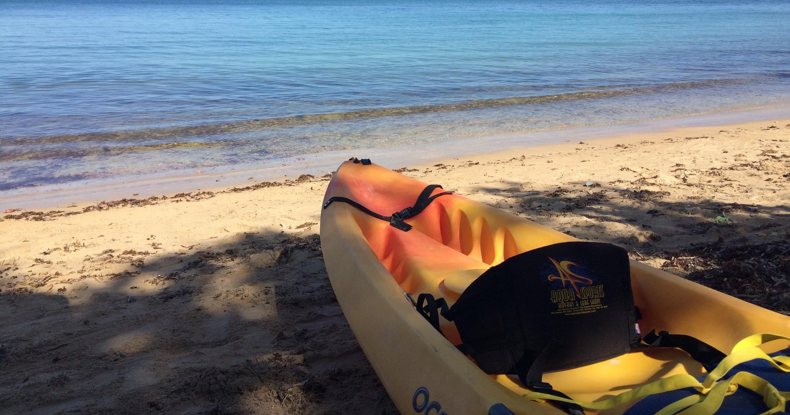 West River Paddling Company Kayak Rentals in Vermilion, OH