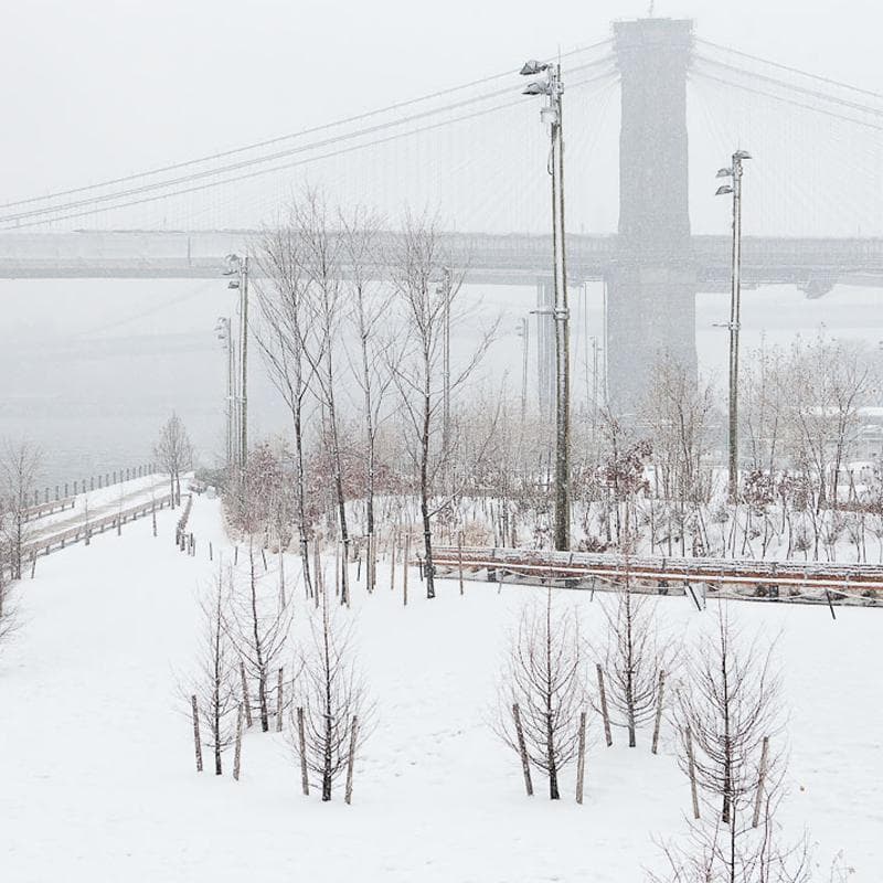 Snowy winter landscape with Brooklyn Bridge towers and frozen park