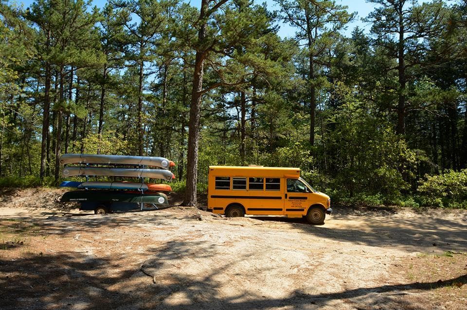 Discover Pine Barrens’ Birding Wonders on an ADA Accessible Adventure