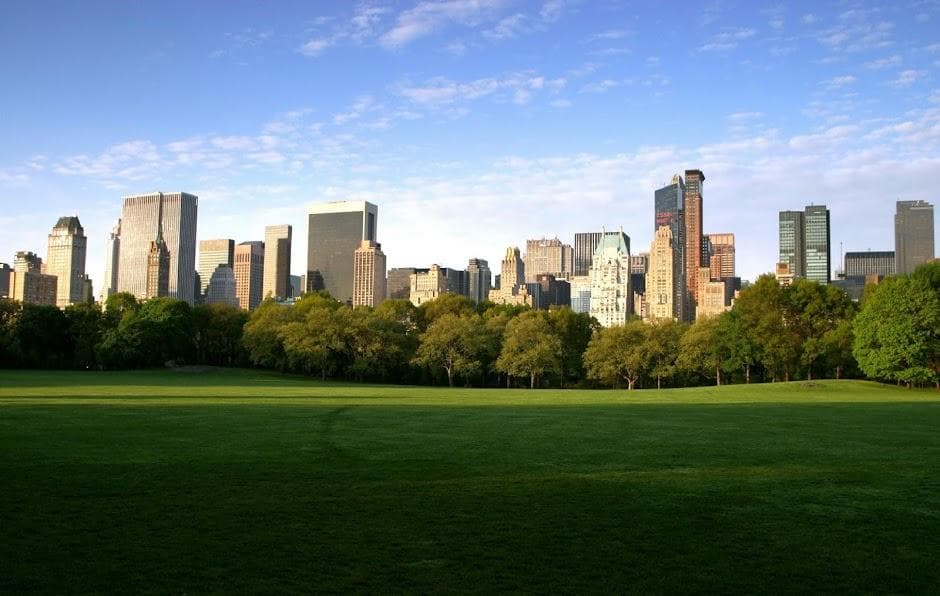 Central Park skyline over expansive green lawn in NYC