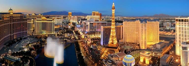Annie Bananie Las Vegas Tours fleet