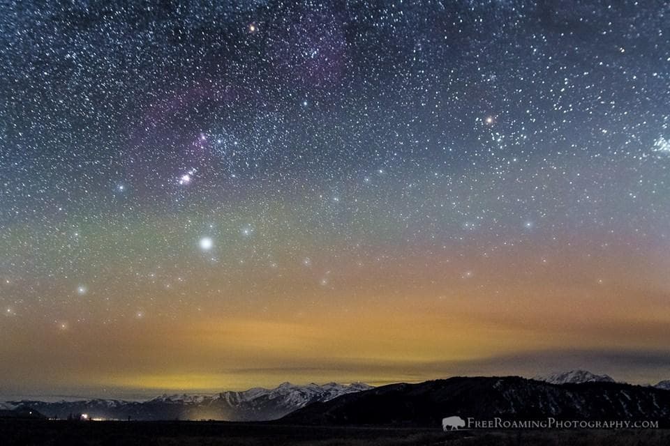 Grand Teton Afterglow: Winter Sunset Wildlife Tour in Jackson Hole