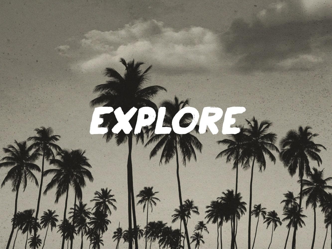 Learn to Surf Together: Join Group Surf Lessons in Santa Monica