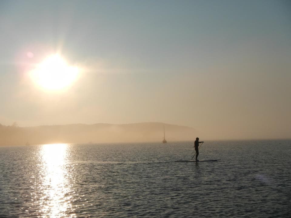 Solo paddleboarder silhouetted at sunset on calm ocean