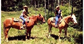 Two horseback riders paused in sunlit grassy clearing near trees