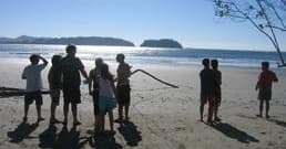 Group of beachgoers silhouetted on sandy Pacific coast shore