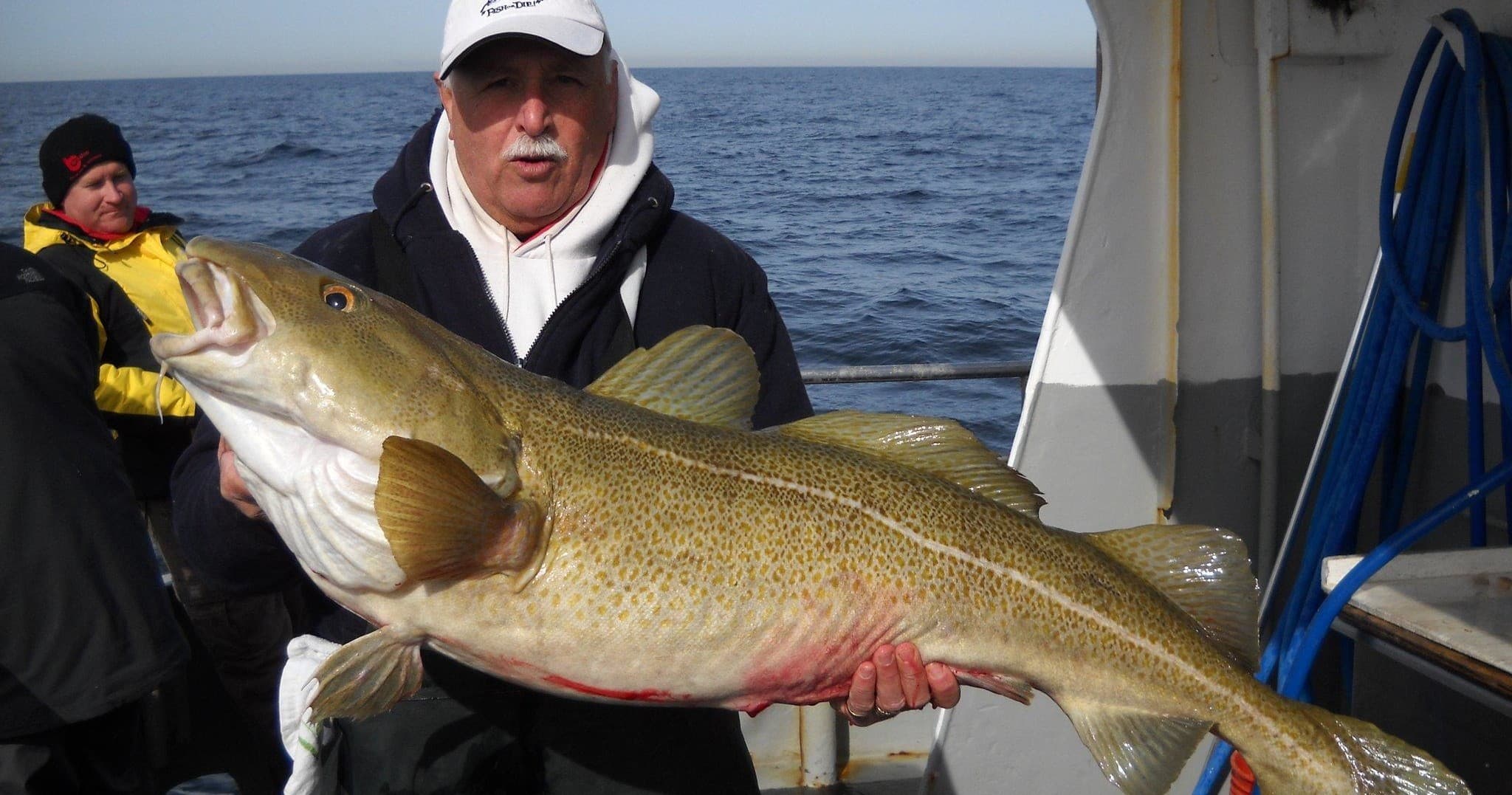 Angler holding large cod on deck during offshore fishing trip