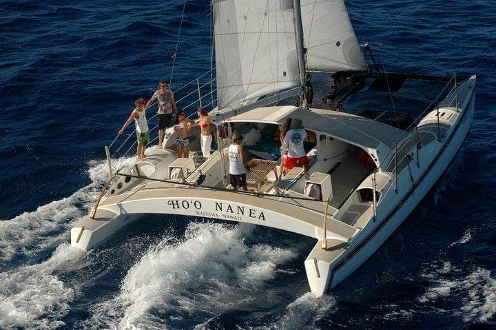 North Shore Catamaran Charters fleet