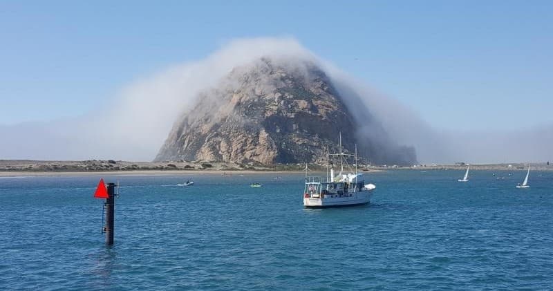 Harbor & Luncheon Cruise with Chablis Cruises in Morro Bay