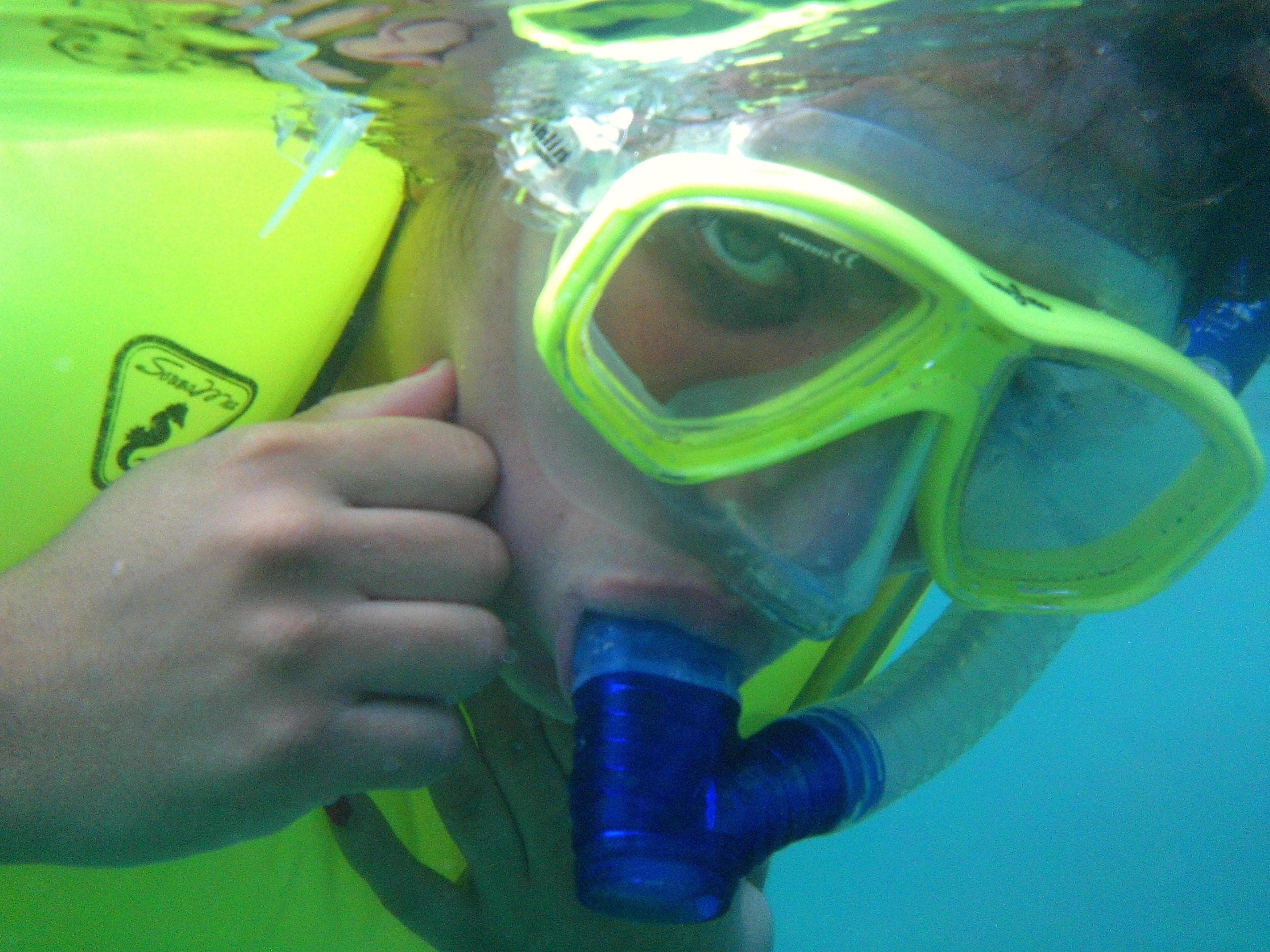 Rincon Diving & Snorkeling fleet
