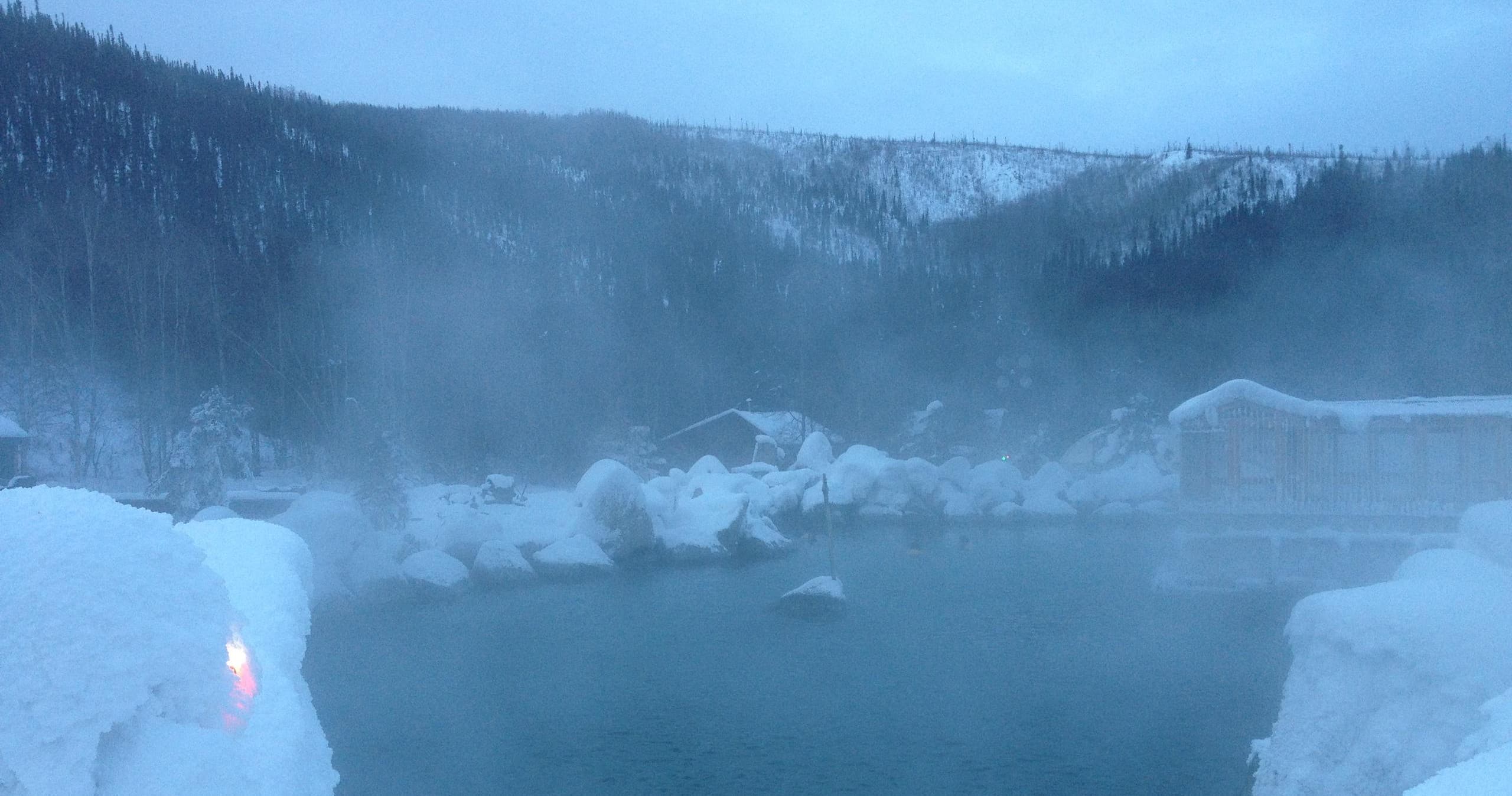 Northern Lights & Chena Hot Springs with Alaska Wildlife Guide LLC