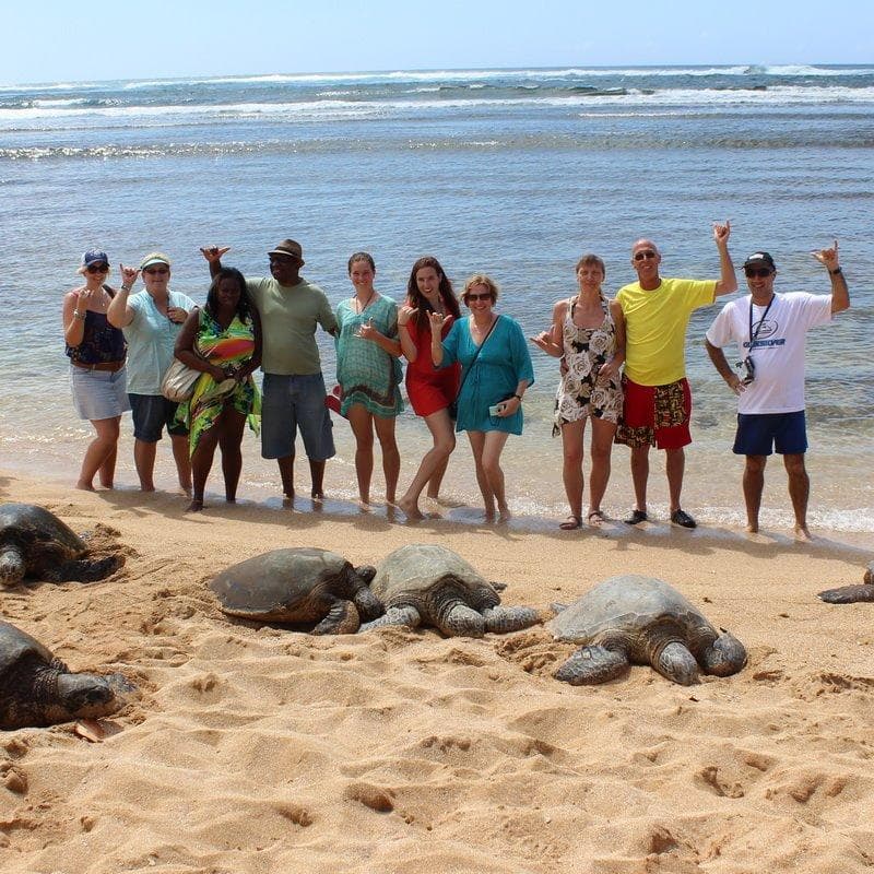 Hawaii Turtle Tours fleet